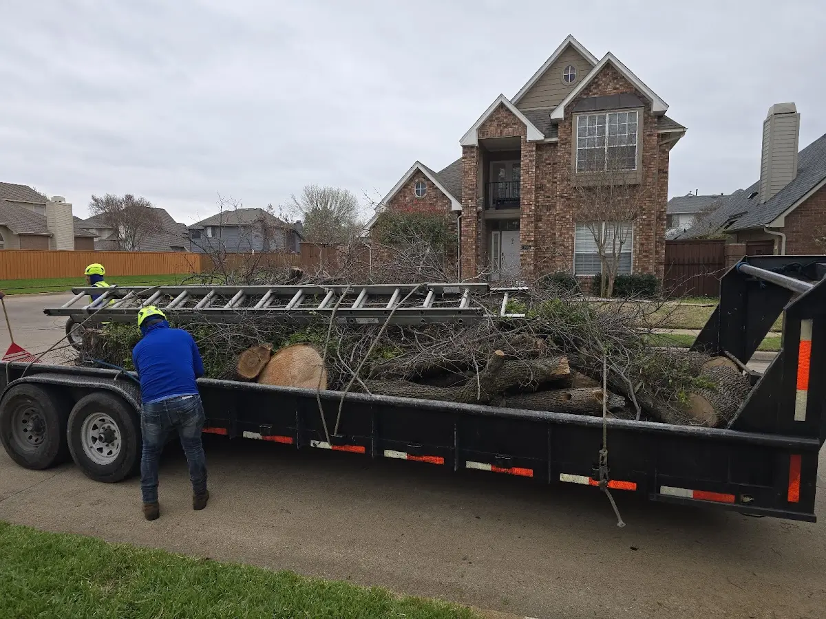 Expert Tree Removal with proper safety equipment in Steamboat Rock